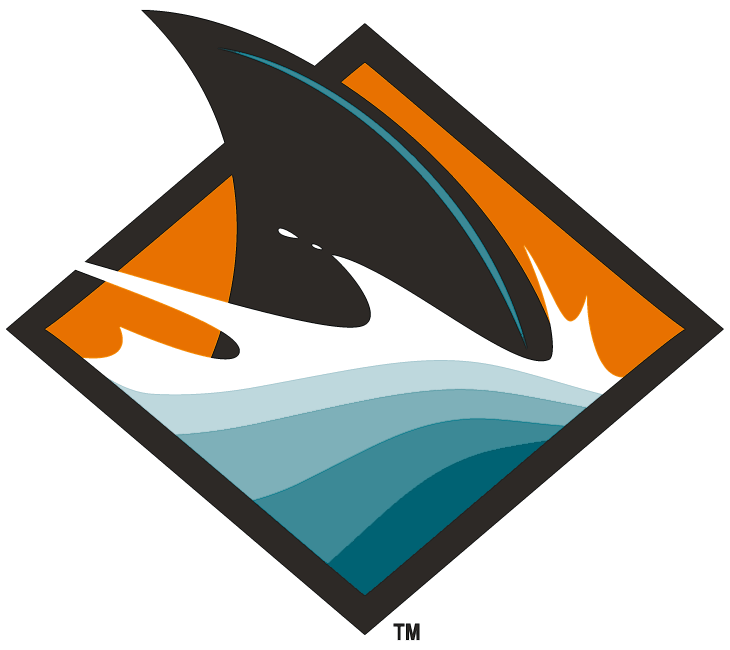San Jose Sharks 2008-Pres Alternate Logo fabric transfer